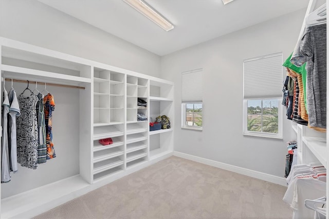 209 E Venice Ave, Venice, FL 34285 - spacious closet featuring carpet flooring