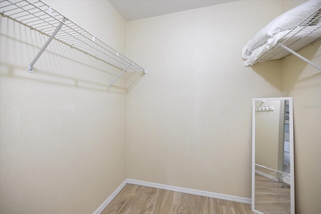 9277 Saint Catherine Ave, Englewood, FL 34224 - spacious closet with light wood-type flooring