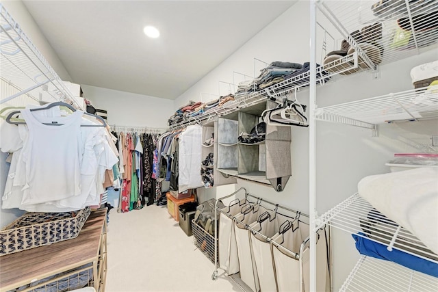 12816 Morning Mist Pl, Venice, FL 34293 - walk in closet featuring carpet