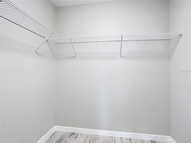 7140 Teaberry St, Englewood, FL 34224 - spacious closet with light wood-style floors