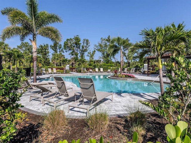 15364 Isla Palma Ln, Nokomis, FL 34275 - community pool featuring a patio area
