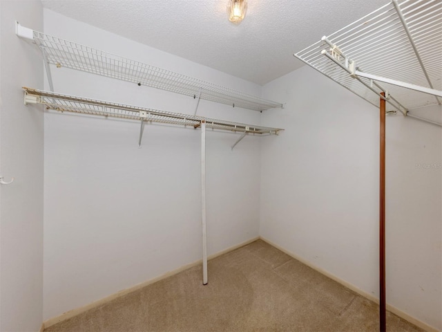 1240 Lucaya Ave, Venice, FL 34285 - photo 30
