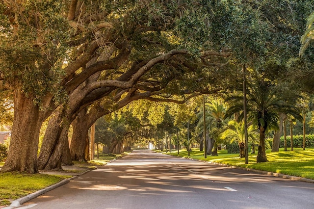 418 Cerromar Ct Unit 158, Venice, FL 34293 - view of home's community featuring a lawn