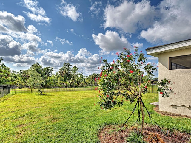 12705 Pinnacle Ln, Venice, FL 34293 - view of yard