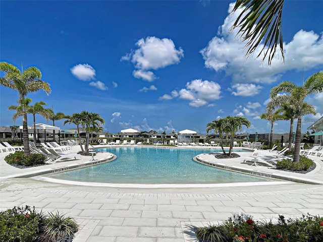 12705 Pinnacle Ln, Venice, FL 34293 - community pool with a patio area