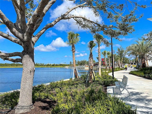 12705 Pinnacle Ln, Venice, FL 34293 - water view