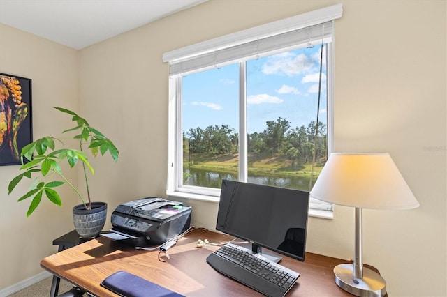 11986 Granite Woods Loop, Venice, FL 34292 - photo 31