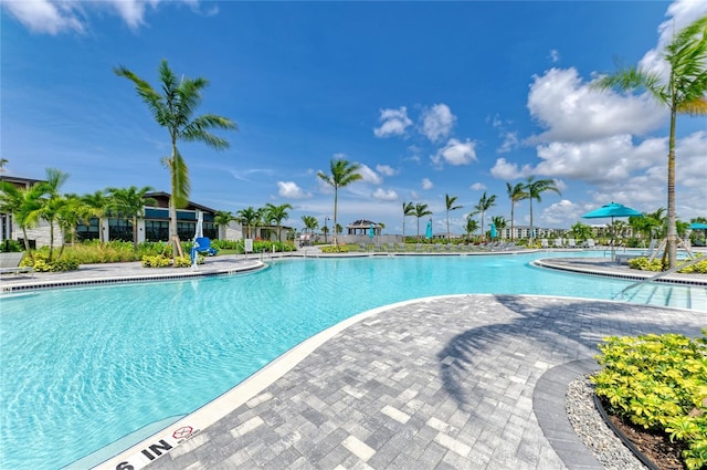 12390 Wellen Golf St Unit 203, Venice, FL 34293 - photo 53