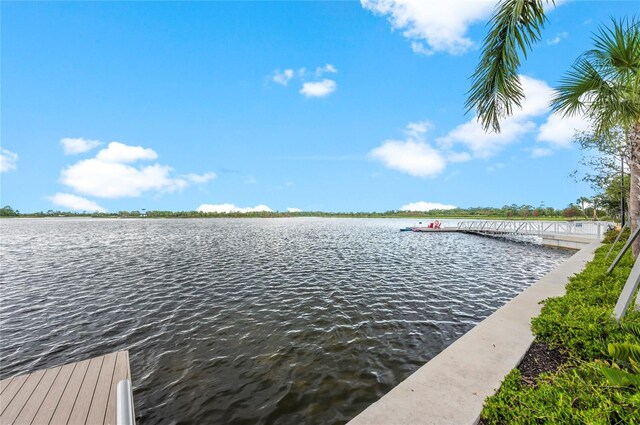12390 Wellen Golf St Unit 203, Venice, FL 34293 - photo 86