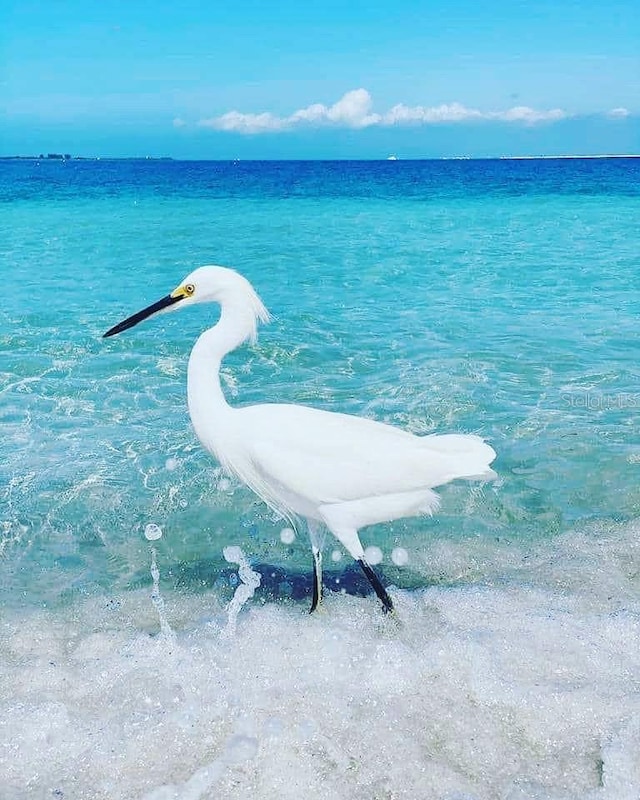 235 Base Ave E Unit 207, Venice, FL 34285 - water view