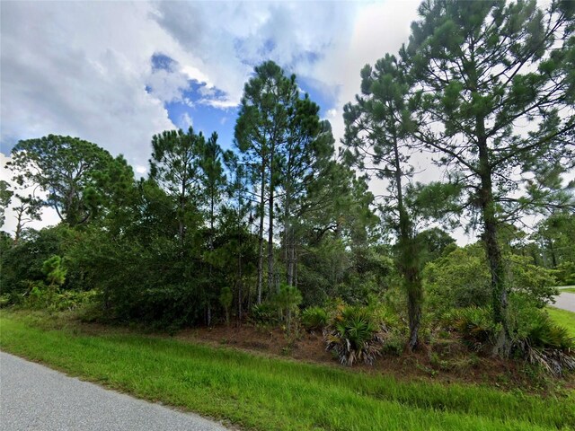 San Luis St, North Port, FL 34287 - photo 6