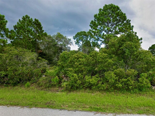 San Luis St, North Port, FL 34287 - photo 7