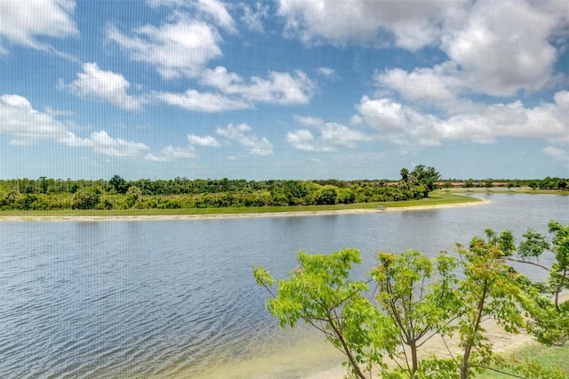 10213 Staggerbush Dr Unit 202, Venice, FL 34293 - water view