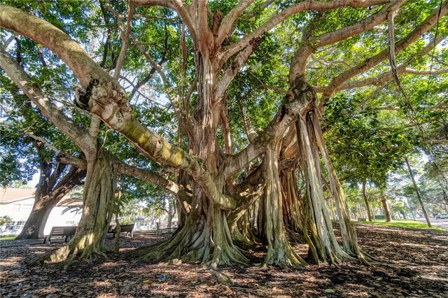 708 Tamiami Trl S Unit 115, Venice, FL 34285 - view of undeveloped land
