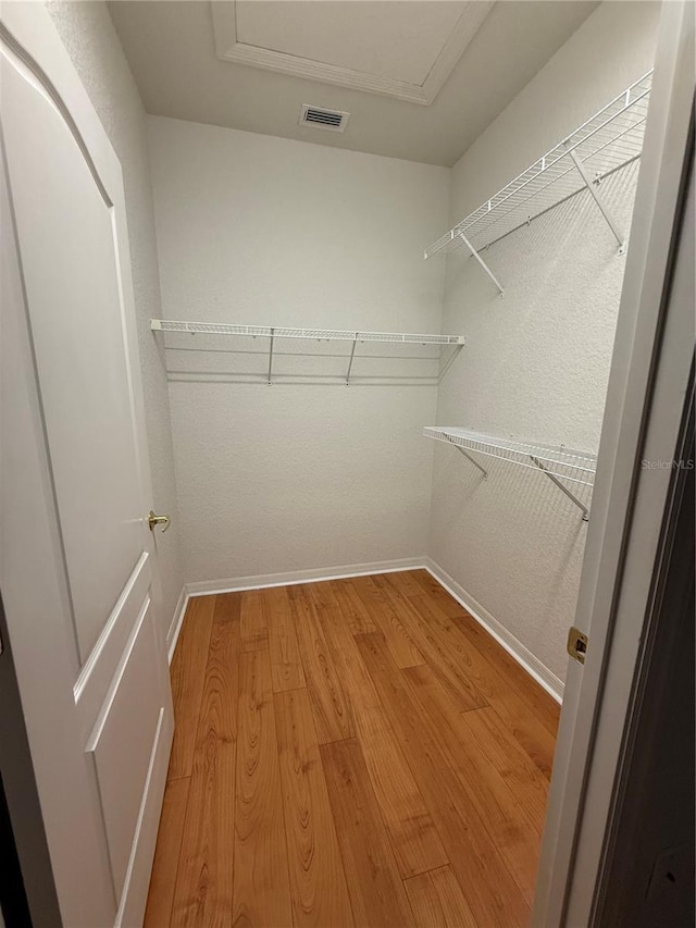 3790 Cadbury Cir Unit 40, Venice, FL 34293 - walk in closet with light wood-style floors and attic access