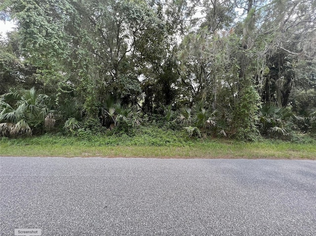 Kalish Ave, North Port, FL 34286