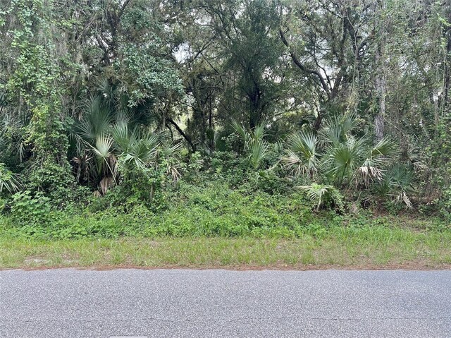Kalish Ave, North Port, FL 34286