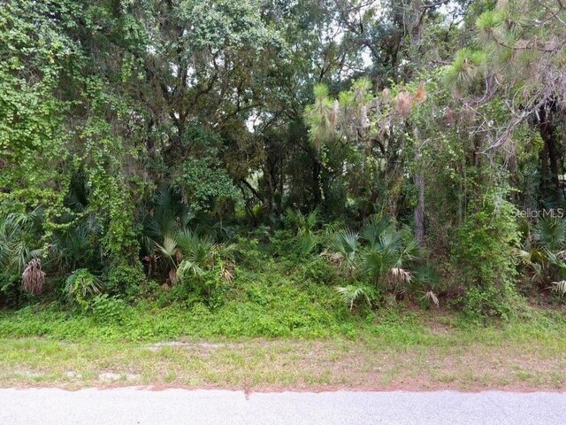 Kalish Ave, North Port, FL 34286