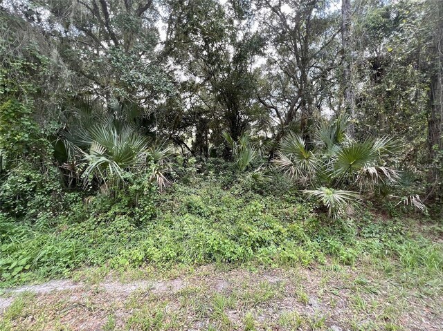 Kalish Ave, North Port, FL 34286