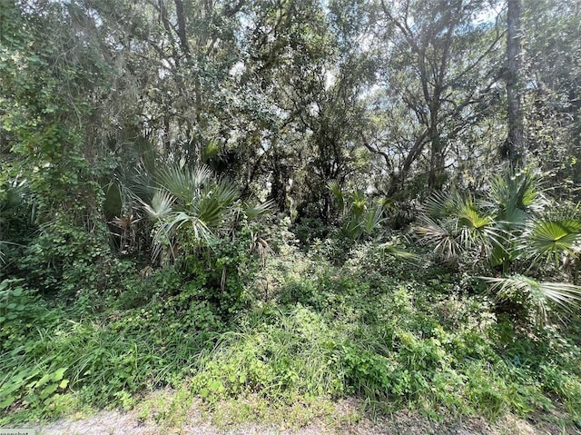Kalish Ave, North Port, FL 34286