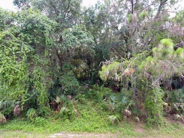 Kalish Ave, North Port, FL 34286