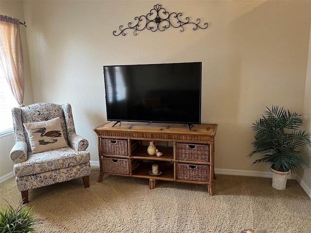 7201 L Pavia Blvd Unit 7201, Venice, FL 34292 - photo 11