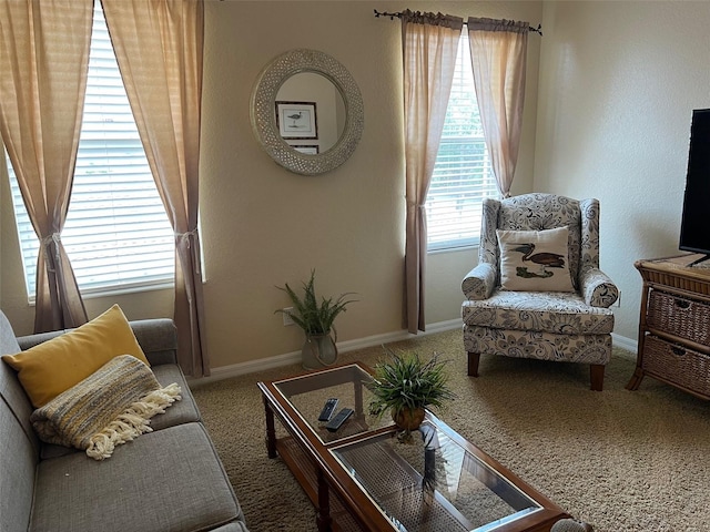 7201 L Pavia Blvd Unit 7201, Venice, FL 34292 - photo 12