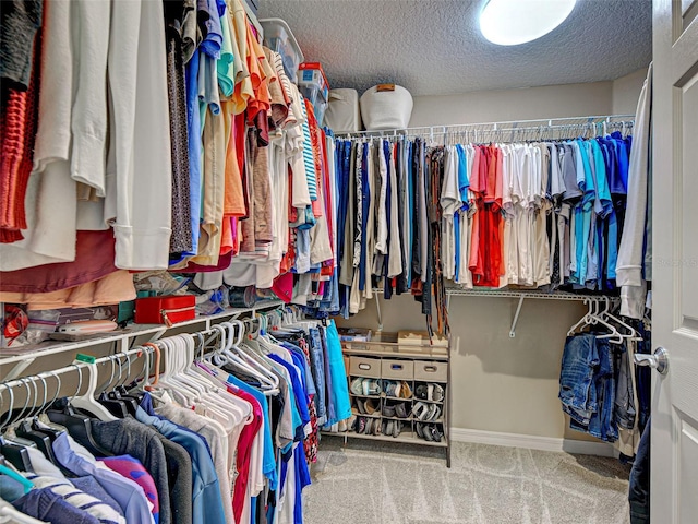 516 Tamiami Trl S Unit 303, Nokomis, FL 34275 - walk in closet with carpet