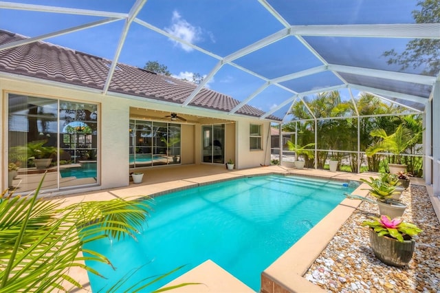 188 Grand Oak Cir, Venice, FL 34292 - swimming pool featuring a patio area, a ceiling fan, and a lanai