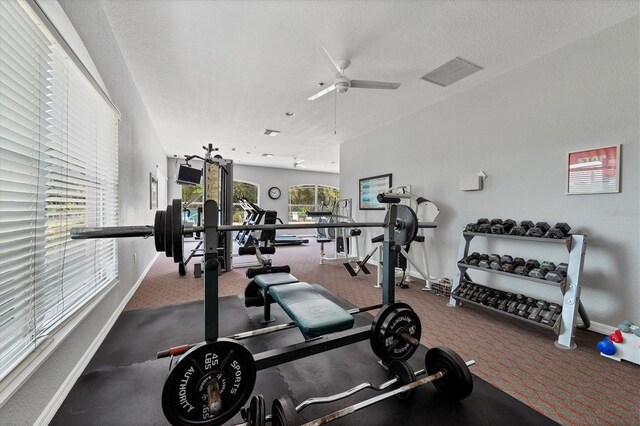 188 Grand Oak Cir, Venice, FL 34292 - exercise room with carpet floors, ceiling fan, and a textured ceiling