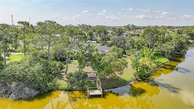 249 Hallcrest Ter, Port Charlotte, FL 33954 - bird's eye view of a tree filled landscape and a nearby body of water