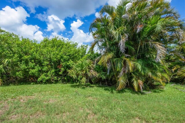 20235 Granlago Dr, Venice, FL 34293 - photo 46