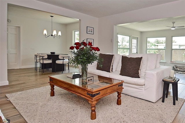 3340 Webber St, Sarasota, FL 34239 - living area with wood finished floors, a chandelier, and healthy amount of natural light
