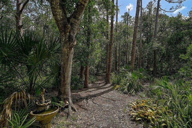 3199 Elkrem Ave, North Port, FL 34286 - photo 29