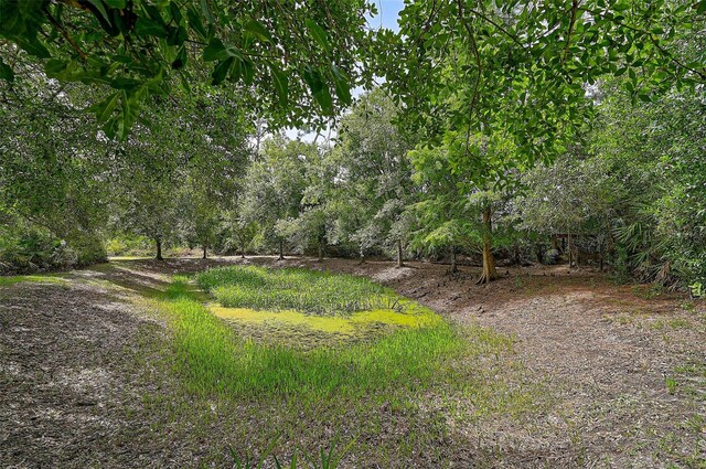 3199 Elkrem Ave, North Port, FL 34286 - photo 34