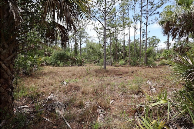 1048 Beach St, Port Charlotte, FL 33953