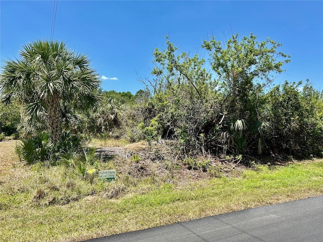 6223 Mcallen St, Port Charlotte, FL 33981
