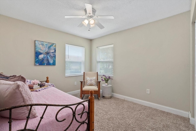 5828 Lincoln Rd, Venice, FL 34293 - photo 25