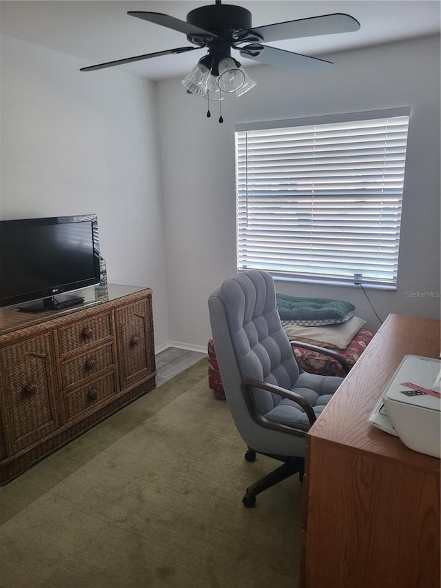 482 Pendleton Pl, Venice, FL 34292 - photo 22