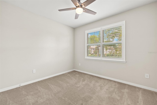 260 Soliera St, Nokomis, FL 34275 - photo 26