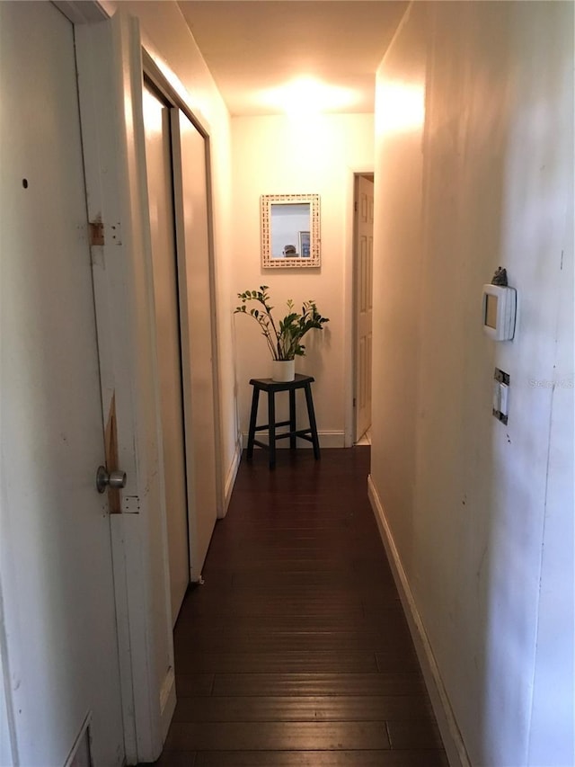 3661 Sterling Rd, Venice, FL 34293 - hall featuring dark wood finished floors and baseboards