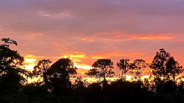 17525 Jadestone Ct, Venice, FL 34293 - view of nature at dusk