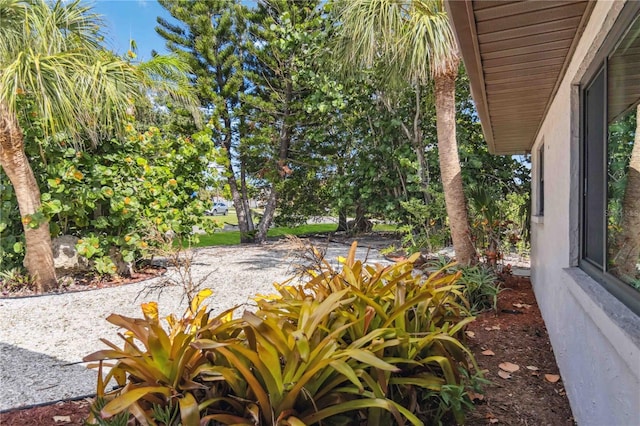 2555 Yucca Rd, Venice, FL 34293 - view of yard