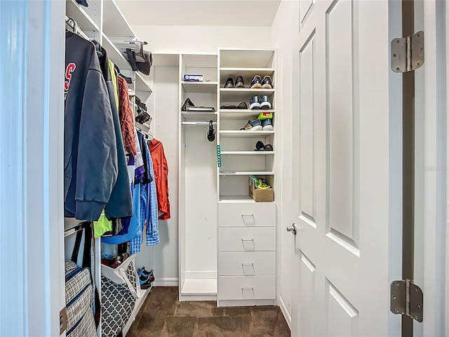 20749 Swallowtail Ct, Venice, FL 34293 - spacious closet featuring dark wood finished floors