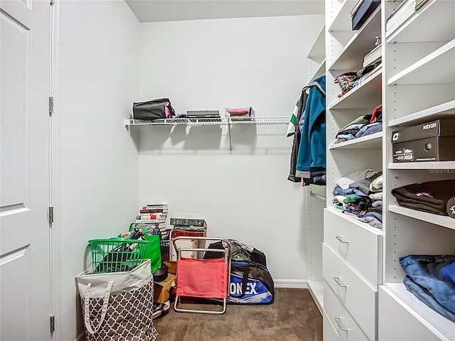 20749 Swallowtail Ct, Venice, FL 34293 - walk in closet featuring wood finished floors