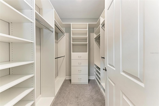257 Teramo Way, Nokomis, FL 34275 - walk in closet featuring light colored carpet