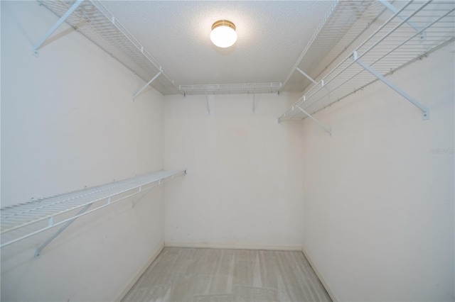 519 Catalina Isles Cir, Venice, FL 34292 - walk in closet featuring light colored carpet