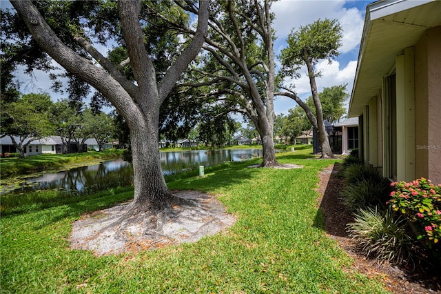519 Catalina Isles Cir, Venice, FL 34292 - view of green lawn with a water view