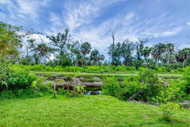386 Nightingale Rd, Venice, FL 34293 - view of yard