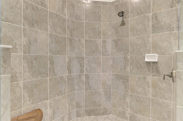 12590 Ghiberti Cir Unit 201, Venice, FL 34293 - bathroom with a tile shower